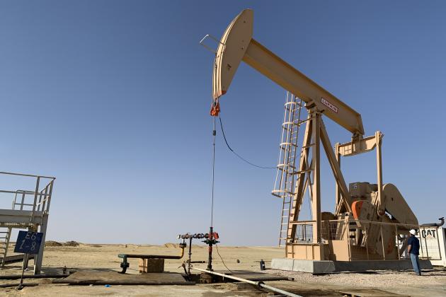 «Нафтогаз» инвестировал в разработку концессионных участков в Египте около $580  млн