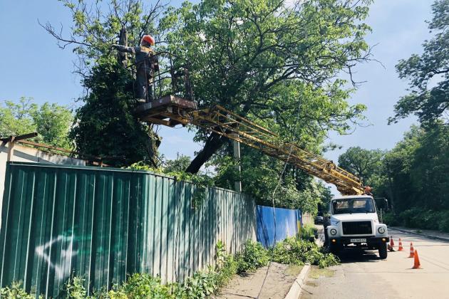 ДТЕК в Києві до кінця року розчистить 100 кілометрів трас під електролініями