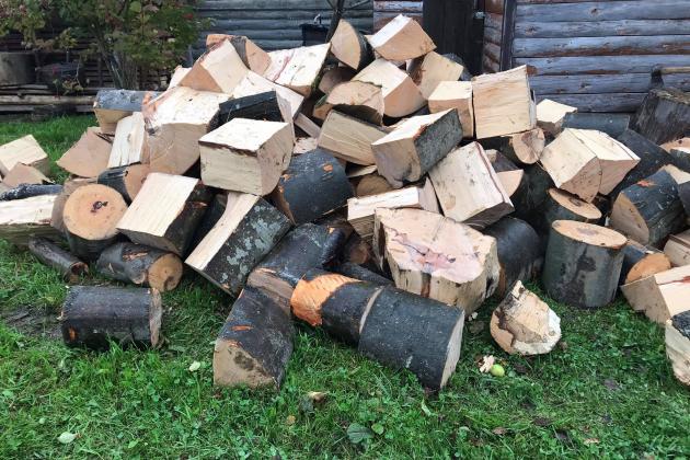 "Ліси України" накопичили на складах понад 220 тис. куб. м дров, яких вистачить для опалення соцсфери, населення і військових