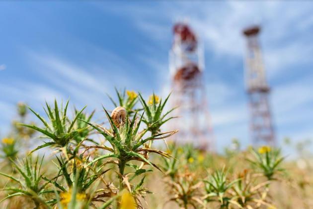 Олександр Шумський: «Державна підтримка не повинна бути довічною»