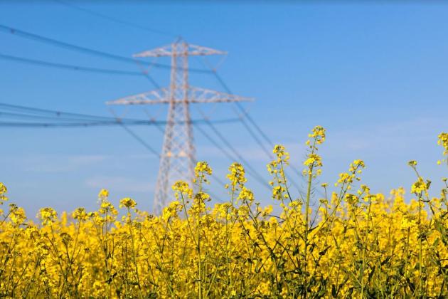 Андріан Прокіп: «В Україні підняття тарифів буває лише перед колапсом»