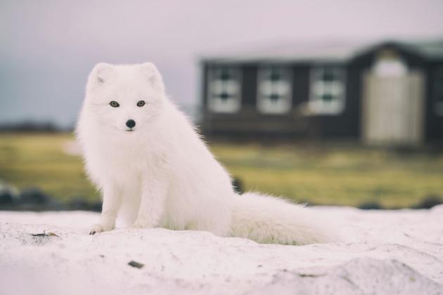 ЩО ПОТРІБНО ЗМІНИТИ В ЕНРЕГЕТИЦІ, ЩОБ ПРОЖИТИ НАСТУПНУ ЗИМУ? СПОЙЛЕР: МАЙЖЕ ВСЕ