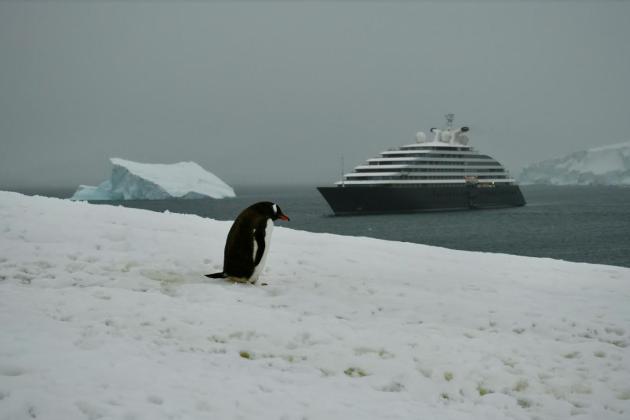 Криголам газової монополії