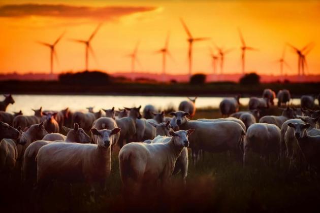 ЧОМУ НОВІ ПОТУЖНОСТІ ВДЕ НЕ СПОКУСИЛИ ІНВЕСТОРІВ?