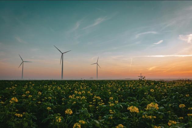 Частка ВДЕ у структурі генерації електроенергії у березні 2025 р. склала майже 9%