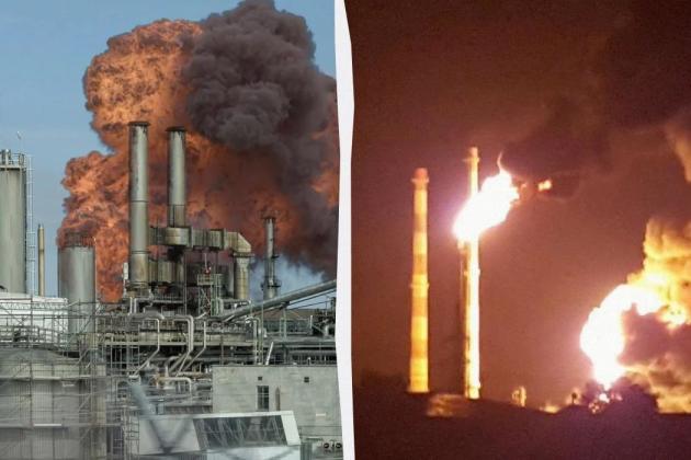 Винищення триває