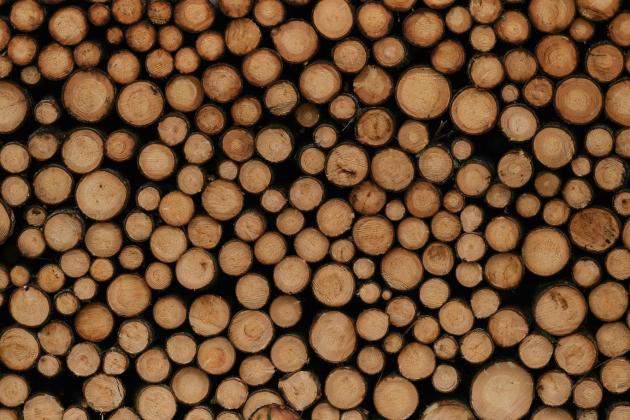 Ринок необробленої деревини на УЕБ: підсумки торгів за 23 – 27 лютого 2026 року